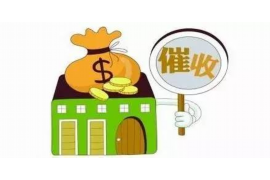 抚顺贷款清欠服务